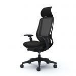 SYLPHY Back Support Chair