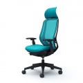 SYLPHY Back Support Chair