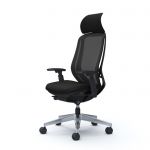SYLPHY Ergonomic Polished Chair | Black, Light gray, Dark blue, Lime green, Beige, Red, Blue green, Orange