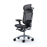 CONTESSA 2 SECONDA Silver Chair | Black, Light gray, Dark blue, Red, Dark grey, White, Dark green, Green, Beige, Yellow, Orange, Sage, Dark brown