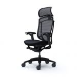 CONTESSA SECONDA Cushion Seat Black Frame Chair